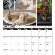 Image showing several cats at the top of the page and boxes for the calendar below.